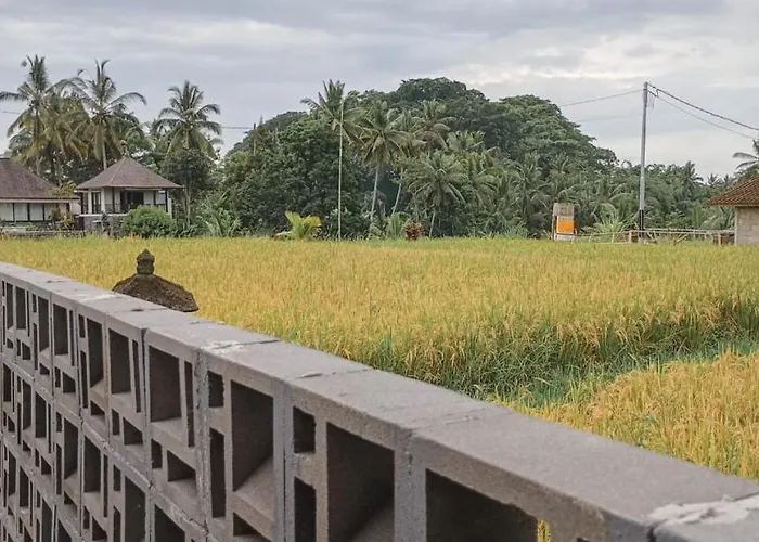 ベッド・アンド・ブレックファスト Maha House Mid Of Ricefields テガララン