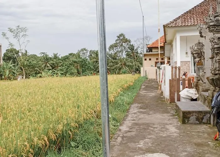 ベッド・アンド・ブレックファスト Maha House Mid Of Ricefields *
