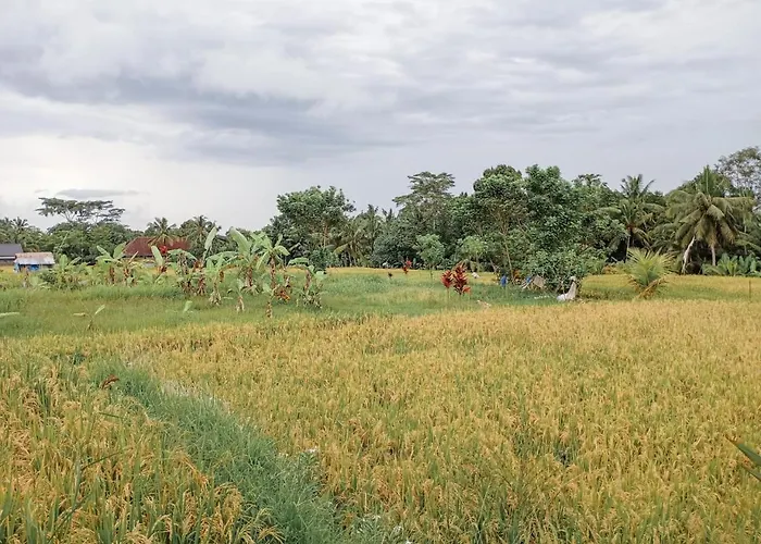 Maha House Mid Of Ricefields * テガララン