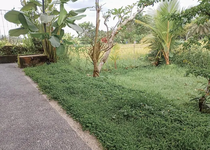 Maha House Mid Of Ricefields