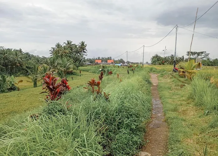 ベッド・アンド・ブレックファスト Maha House Mid Of Ricefields
